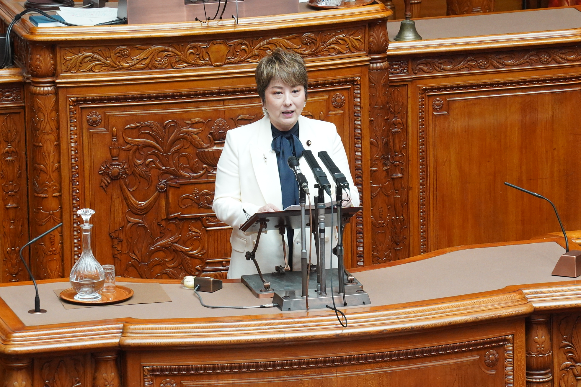 【参本会議】庭田幸恵議員が健康保険法等改正案について質疑